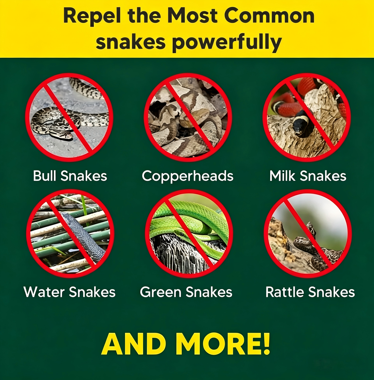 Snakes & Lizards Repellent Pouches