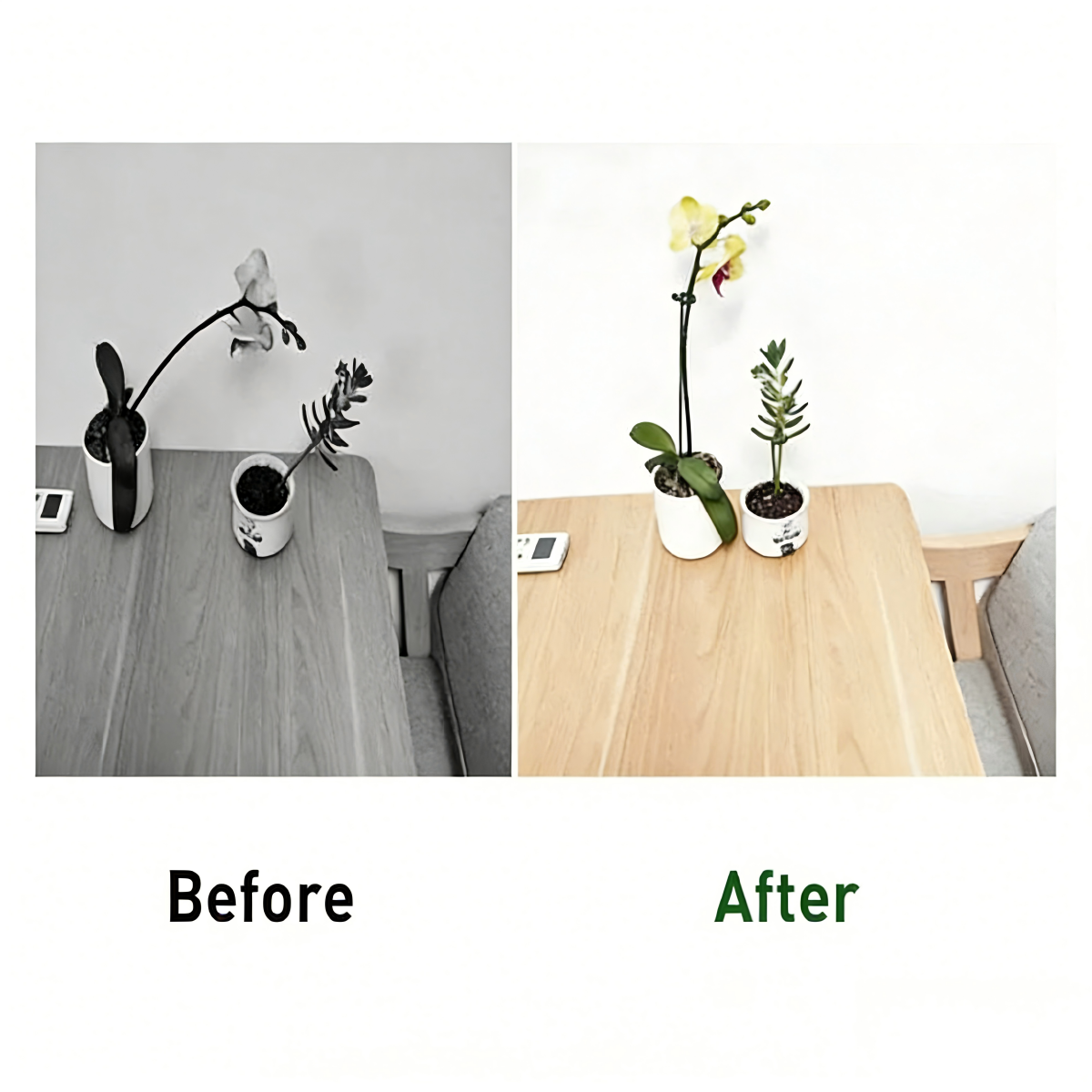 Plant Support Stakes