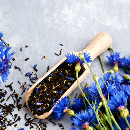 Premium Mixed Cornflower Seeds(Bachelor's Button) - Non-GMO